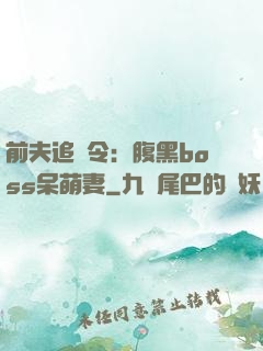 前夫追緝令：腹黑boss呆萌妻