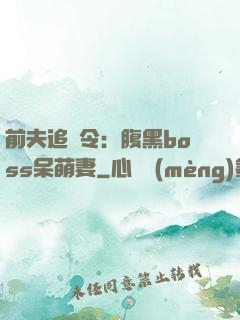 前夫追緝令：腹黑boss呆萌妻