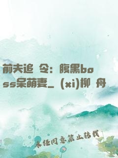 前夫追緝令：腹黑boss呆萌妻