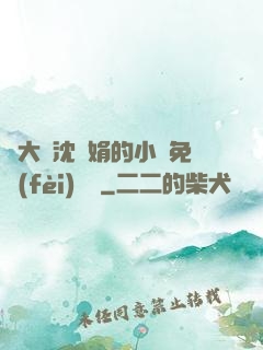 劉大壯沈麗娟的小說免費(fèi)閱讀