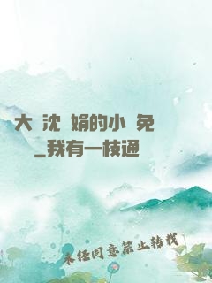 劉大壯沈麗娟的小說免費閱讀