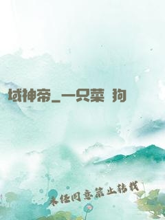 劍域神帝