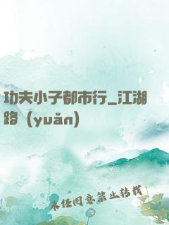 功夫小子都市行
