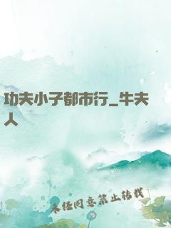 功夫小子都市行