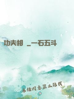 功夫相師
