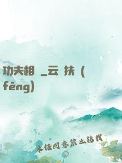 功夫相師