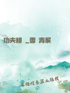 功夫相師