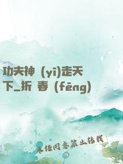 功夫神醫(yī)走天下
