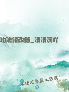 功法修改器