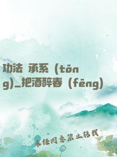 功法傳承系統(tǒng)