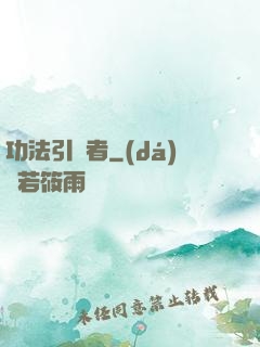 功法引讀者
