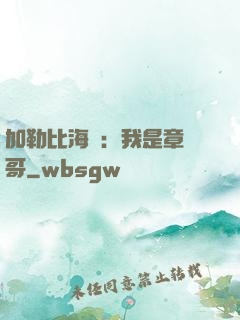 加勒比海盜：我是章魚哥