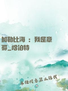加勒比海盜：我是章魚哥