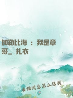 加勒比海盜：我是章魚哥