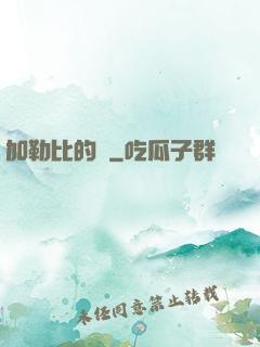 加勒比的夢