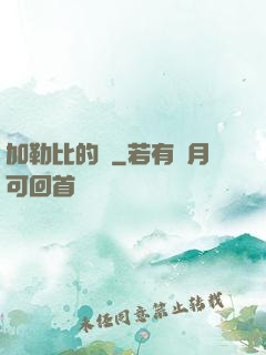 加勒比的夢