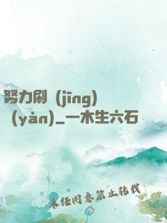 努力刷經(jīng)驗(yàn)