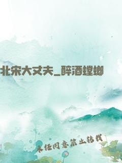 北宋大丈夫