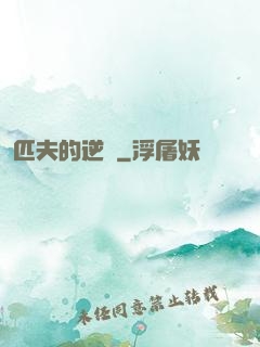 匹夫的逆襲