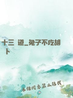十三劍道