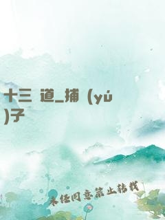 十三劍道