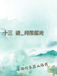 十三劍道