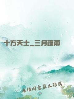 十方天士
