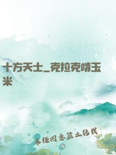 十方天士