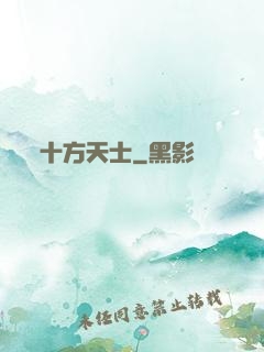 十方天士