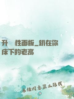 升級屬性面板