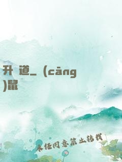 升龍道