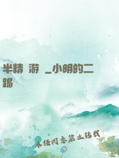 半精靈游俠
