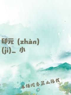 印元戰(zhàn)紀(jì)