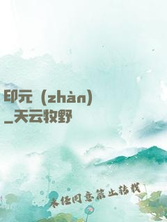 印元戰(zhàn)紀