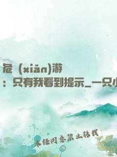 危險(xiǎn)游戲：只有我看到提示