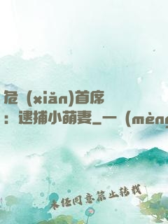 危險(xiǎn)首席：逮捕小萌妻