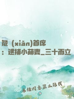 危險(xiǎn)首席：逮捕小萌妻