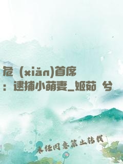 危險(xiǎn)首席：逮捕小萌妻
