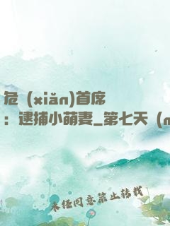 危險(xiǎn)首席：逮捕小萌妻