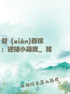 危險(xiǎn)首席：逮捕小萌妻