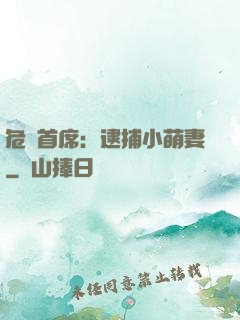 危險首席：逮捕小萌妻