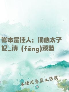 卿本是佳人：偷心太子妃
