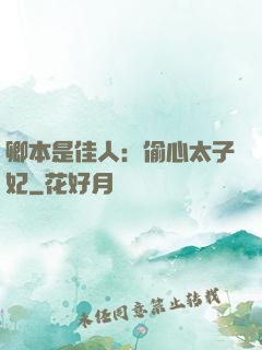 卿本是佳人：偷心太子妃