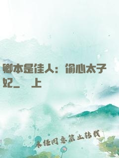 卿本是佳人：偷心太子妃
