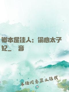 卿本是佳人：偷心太子妃