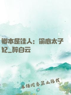 卿本是佳人：偷心太子妃