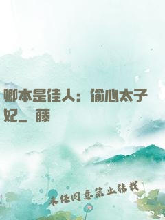 卿本是佳人：偷心太子妃