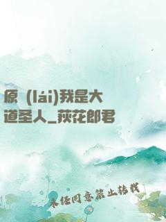 原來(lái)我是大道圣人