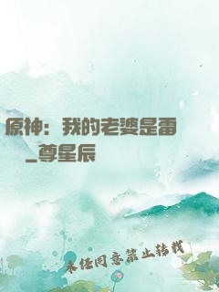 原神：我的老婆是雷電將軍