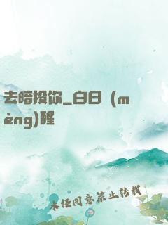 去暗投你